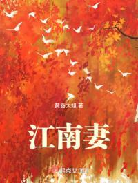 江南妻子在线观看