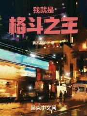 重生我是格斗之王