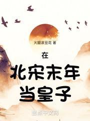 在北宋末年当皇子叫什么