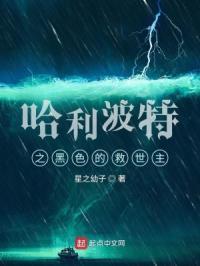 哈利波特之黑色的救世主 星之幼子