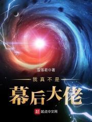 我真不是幕后大boss