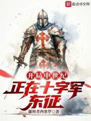 中世纪二全面战争十字军