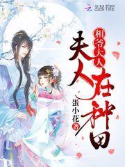 长姐有财全文免费阅读