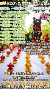 我必须立刻请神免费阅读