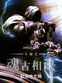 斗破重生之魂