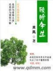 顾盼生歌全文免费阅读