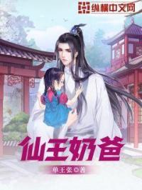 仙王奶爸苏辰境界划分