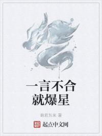 一言不合就爆炸txt书包