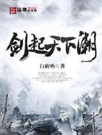 剑起风云无弹窗免费阅读