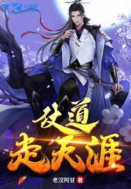 仗走天涯是成语