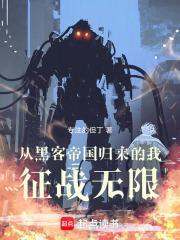 从黑客到黑兵电视剧