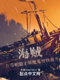 草帽海贼团船只