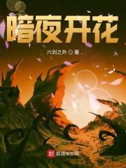 暗夜绽放