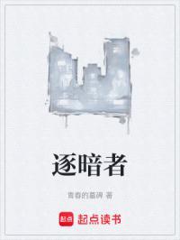 逐暗者橙光破解