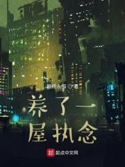 我养了一屋子执念