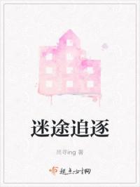 电影迷途追凶介绍