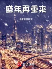 盛年再重来txt