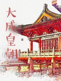 大成王朝是什么朝代的