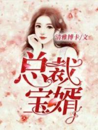 总裁三宝全本免费