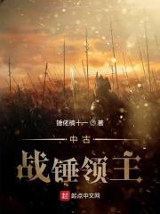 中古战锤领主图片