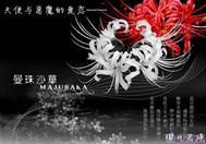 小花仙之赛尔号恋爱