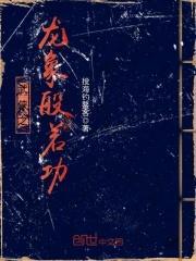 武侠之龙象般若功无上瑜伽秘乘