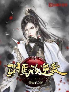 驸马的追妻日常免费阅读