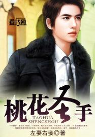 桃花圣手林非凡阅读