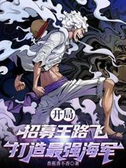 海贼王开局召唤路飞海军版