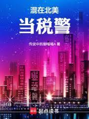 混在美国当警察