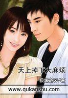 天上掉下个妈下集视频