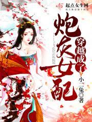 穿越成了炮灰女配林晓词