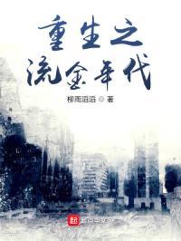 重生之流金时代 笔趣阁