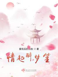 情醉醉梦醉醉原唱歌曲