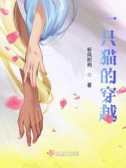 一只猫穿越原神