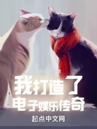 我打造了电子娱乐传奇百度百科