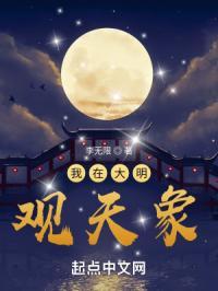 我在大明观天象 李无限