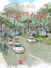 四合院情满四合院