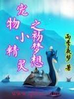 宠物小精灵之愿望