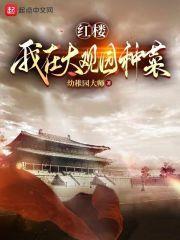 红楼之大观园来了个小厨师