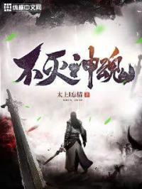 不灭神魂劫是什么劫