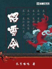 昭雪令演的电视剧