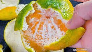 我被女儿上交国家!