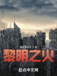 黎明之火哪里刷