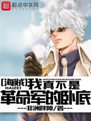 海贼我真不是克