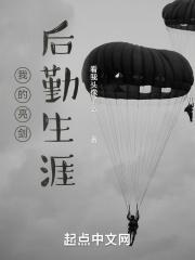 我的亮剑后勤生涯百度百科