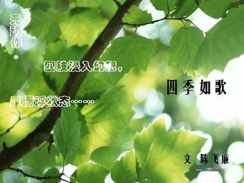四季如歌下一句是什么