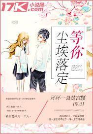 等你尘埃落定是什么歌