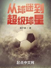 到球星的人生毫无意义txt