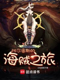 阿尔宙斯的海贼之旅TXT精校版